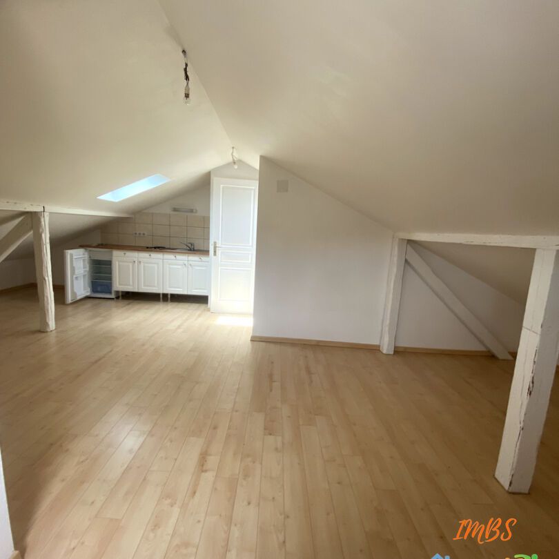 Appartement à louer à Brunstatt Didenheim - Photo 1