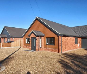 3 bedroom bungalow to rent - Photo 2