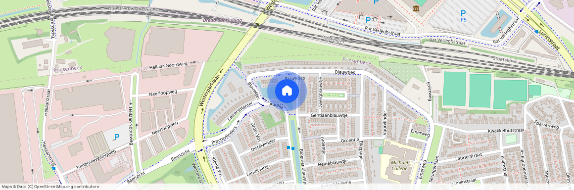 Blauwtjes, 74, Breda