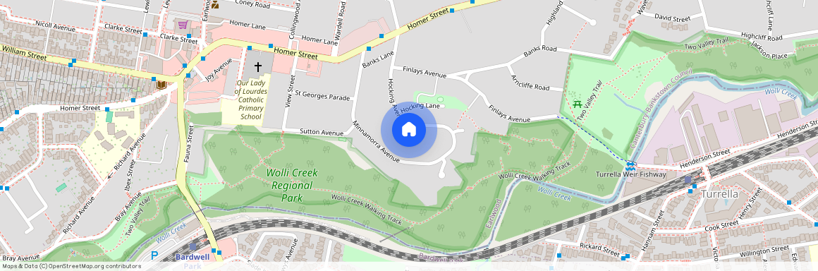 35 Hocking Avenue, NSW 2206, Earlwood