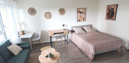 GRAND T1 MEUBLE ENTIEREMENT RENOVE + 1 CAVE - Photo 2