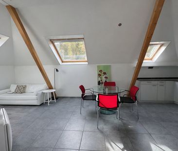 2.5 Zimmer, 67 m², 2. Stock - Foto 3