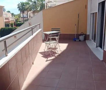 Oliva - Foto 4