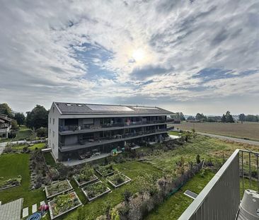 Beautiful ground floor apartment in quiet neighborhood - Photo 1