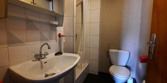 Location Appartement 1 pièce Meublé 21m² CHAMBERY 73000 - Photo 3