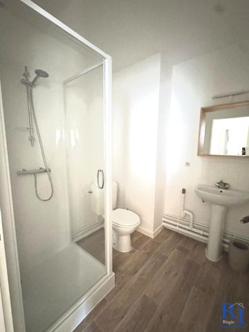 Location Appartement 1 pièce 25m² GRENOBLE 38100 - Photo 4