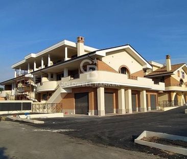 Appartamento in Affitto a Ardea – Zona: Tor San Lorenzo - Foto 1