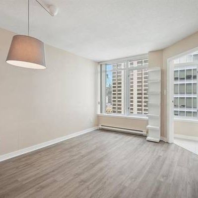 Spacious Condo Plus Den in Downtown - Photo 3