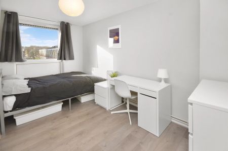 119 Candy Street-Room 3 - Photo 2