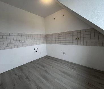 Pronájem bytu 1+1 • 42 m² bez realitkySeminarist. 20d, , Sasko - Photo 3