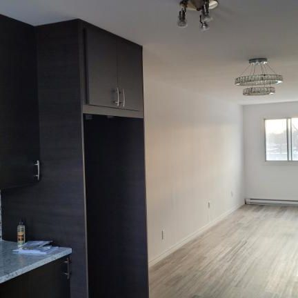 5 1/2 - Montréal - 1 575 $/mois - Photo 4