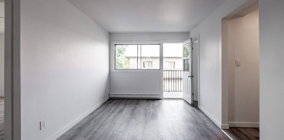 Spacious 1 Bedroom Apartment - Saint Leonard - 6965 Rue De Choisy, Montréal - Photo 2