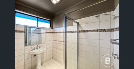 6/115 Albert Street, Ballarat Central, Vic 3350 - Photo 4