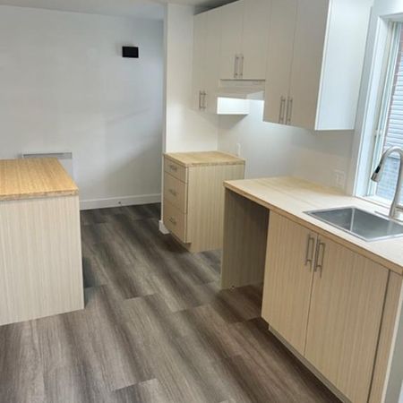 🏡 GRAND 4 ½ À LOUER à Saint-Hubert - Photo 4