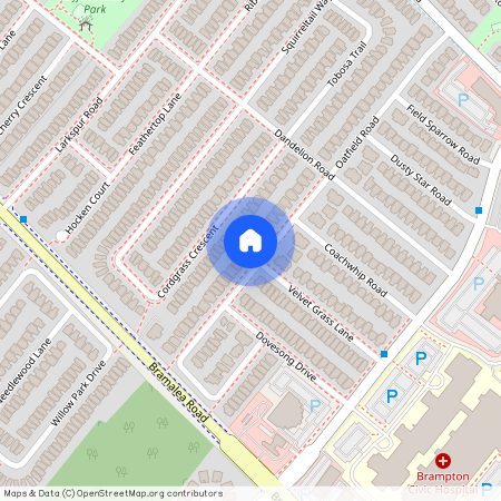 22 Oatfield Road, Brampton