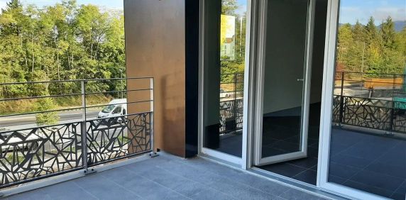 Location appartement 1 pièce - 33m² à Ferney-voltaire (01210) - Photo 2