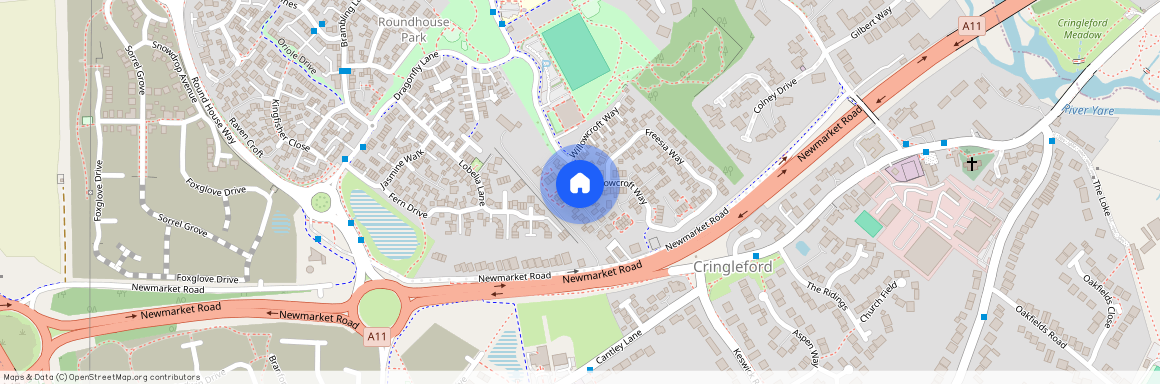 Viola Close, NR4, Norwich