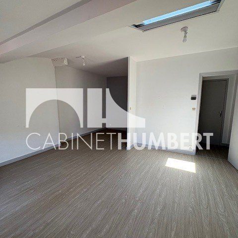 Location Appartement 1 pièce 45m² ST ETIENNE 42000 - Photo 1