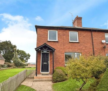 3 bedroom semi-detached house to rent - Photo 3