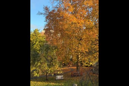 1 Bed Flat, Bermondsey Square, SE1 - Photo 2