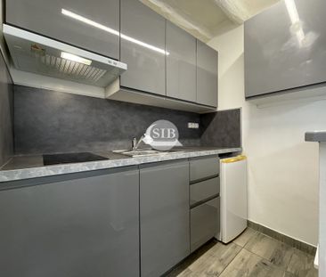 Location Appartement 1 pièce 22m² LA VILLE DU BOIS 91620 - Photo 5