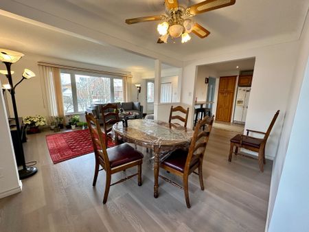 For Lease - 16 Rowanwood Avenue, Brant, Ontario - Photo 4