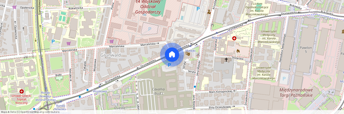 ul. Grunwaldzka, Grunwald, Grunwald, Poznań, wielkopolskie