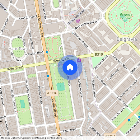 Cadogan Pl, London SW1X 9RX, UK