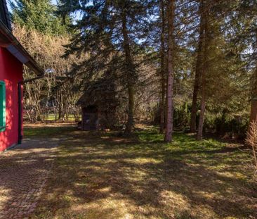 2 pok. Kanarkowa, Gutkowo, zwierzęta mile widziane 45 m² - Photo 6