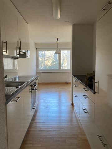 Wohnen inmitten der Rebbergen mit Blick über Zürich - Foto 4