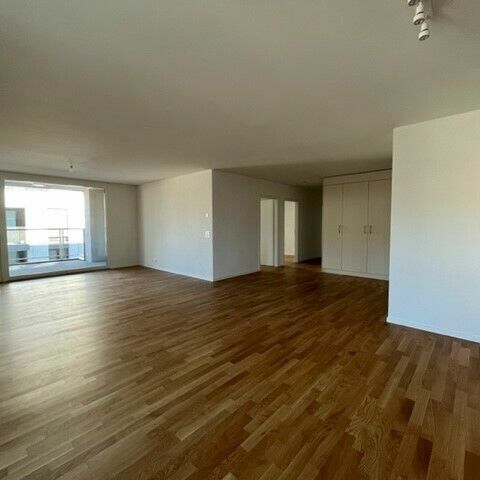 LE TICLE : Appartements neufs à louer - Photo 1