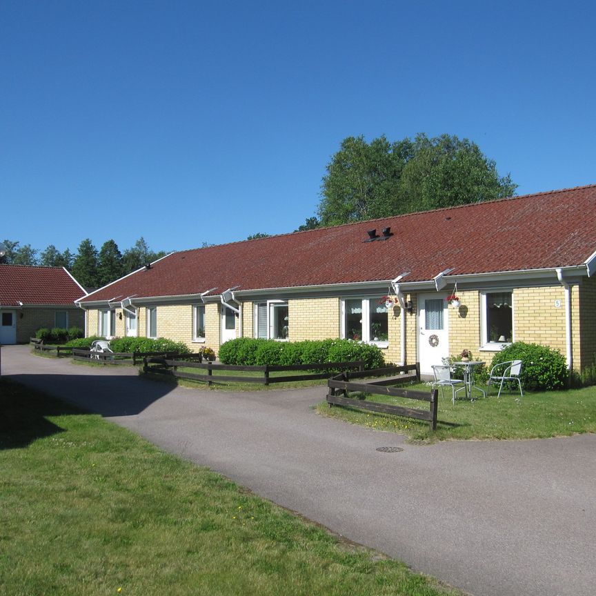 Odlarstigen, Högsby - Foto 1