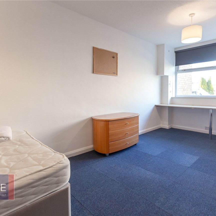 Timber Dene, - Photo 1