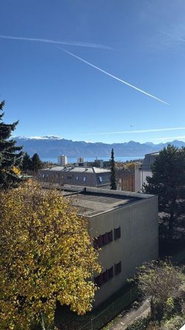 Joli appartement de 2.5 pièce à Lausanne - Photo 5