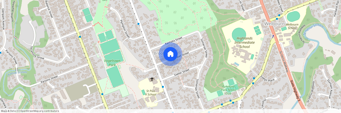 9a Cornwall Street, New Plymouth, Vogeltown