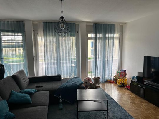 Ch. de Chanélaz 3*5A - Marais 2*6, 2016 Cortaillod - Photo 1