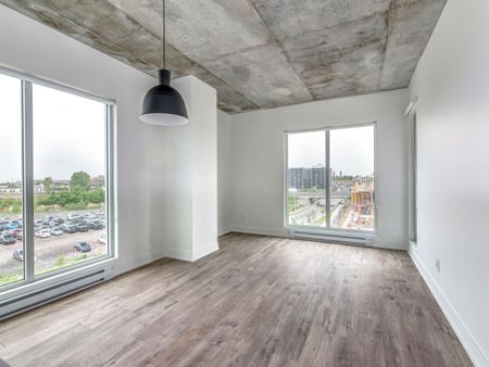 1250 Avenue Thérèse-Lavoie-Roux, Montréal, QC - Photo 3