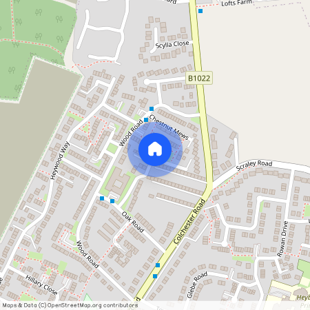 Chestnut Avenue, Maldon, Essex, CM9