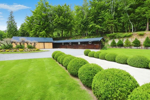 Ranmore Common, Dorking, RH5 6SX - Photo 1