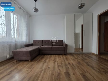 Przytulne m - Zdjęcie 3