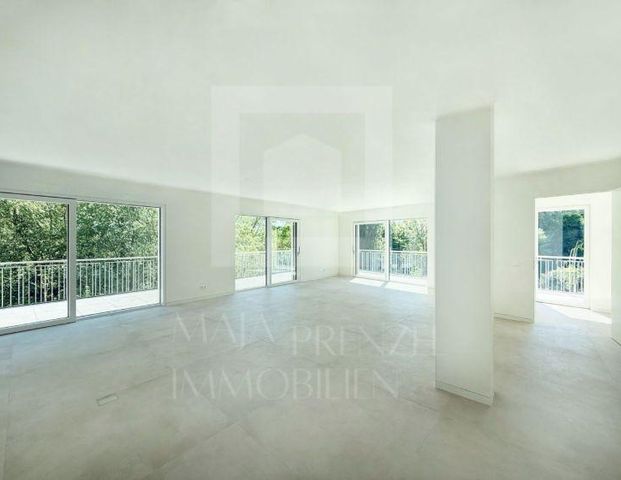 Penthouse-Wohnung mit tollem Blick ins Grüne zum Erstbezug in Dambach - Foto 1