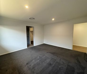 Just in time for Christmas! - Photo 4