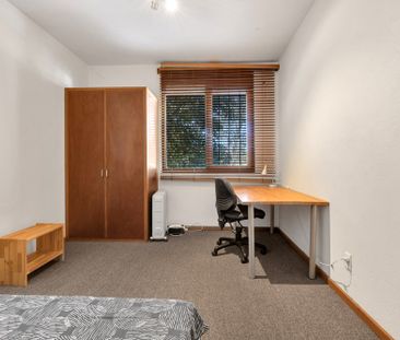 14-bedroom shared unit / apartment, Level , Mackinnon Parade - Photo 3