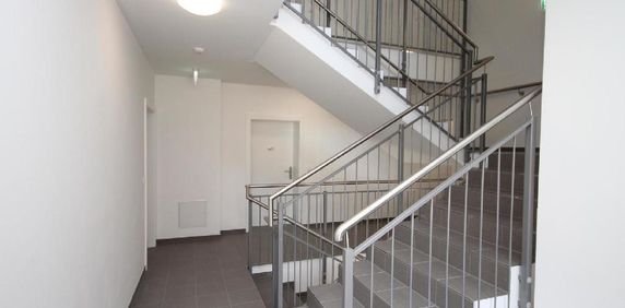 Geförderte 3-Zimmer -Mietwohnung in der Villa Assmann, Top 6 [GF,LB] - Photo 2