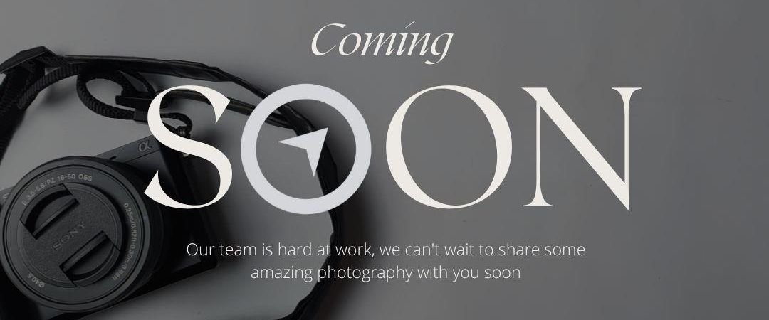 1/9 Newman Road, Croydon VIC 3136 - Townhouse For Rent | Domain - Photo 1