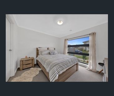 Contemporary Family Living in a Growing Mickleham Pocket -6 Beavers... - Photo 3