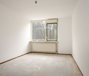 Graaf Van Rechterenweg, 55, Oosterbeek - Foto 3