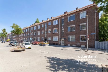 Lepelaarsingel, Rotterdam - Foto 3