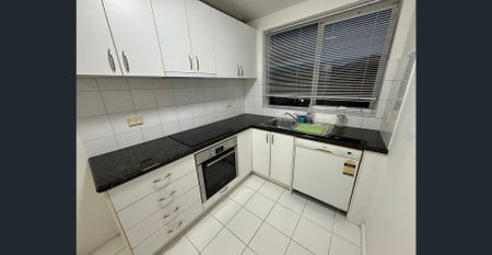 Sunlit Sanctuary in a Quiet Court - Photo 4