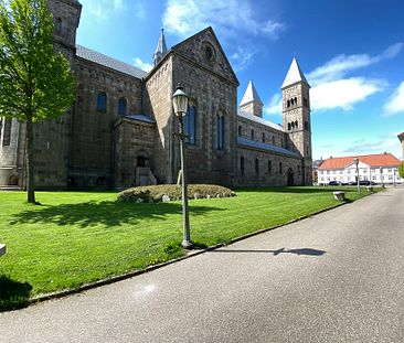 Flot lejlighed med egen terrasse til leje tæt på Viborg midtby - Photo 6